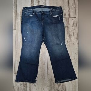 Torrid Straight Leg Premium Jeans 24  Plus Extra Short